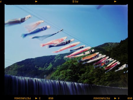 除ヶの堰堤の鯉のぼり