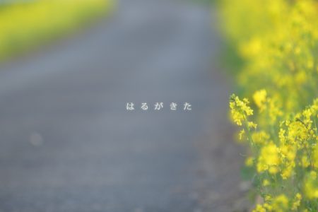 写真に文字を入れてみよう