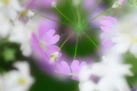 そんな・・・マヂ？今日は誕生日なのに・・・(T_T)