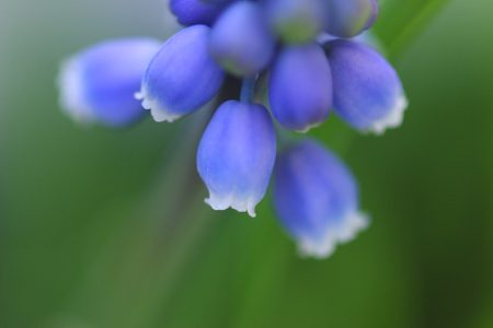 ぐぇ～っ！ いそがし～っ！！