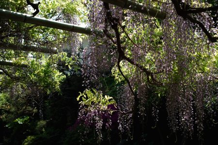 庚申庵、再び