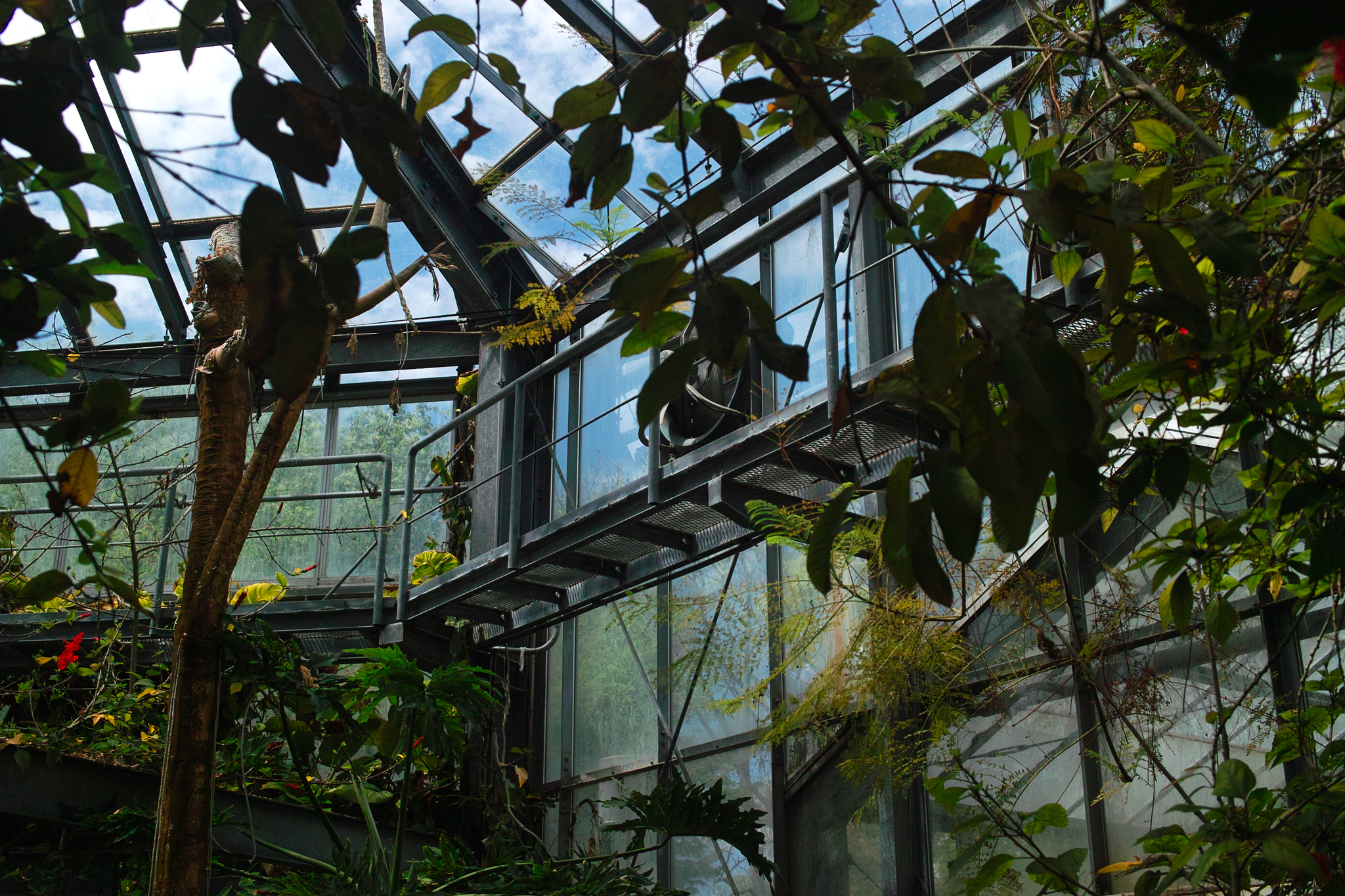 亜熱帯植物展示館の魅力