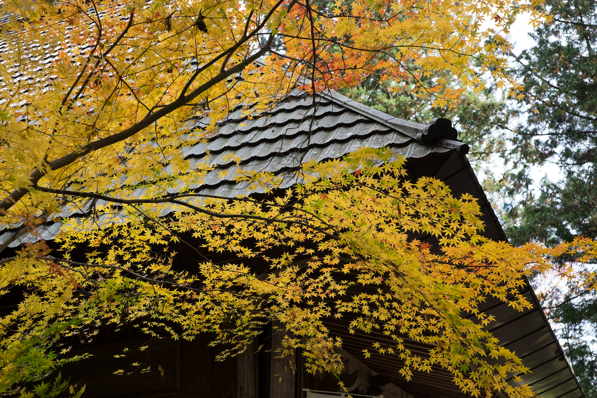 再訪の住吉神社