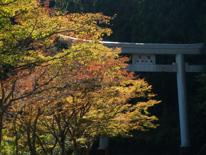 面河渓再訪は秋色少し