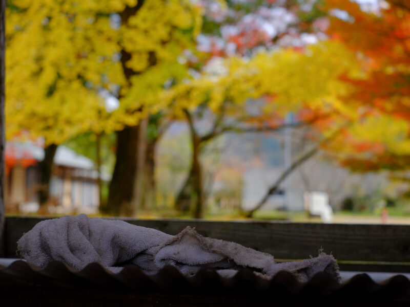 え？ 今日は夜勤初日なのに？？