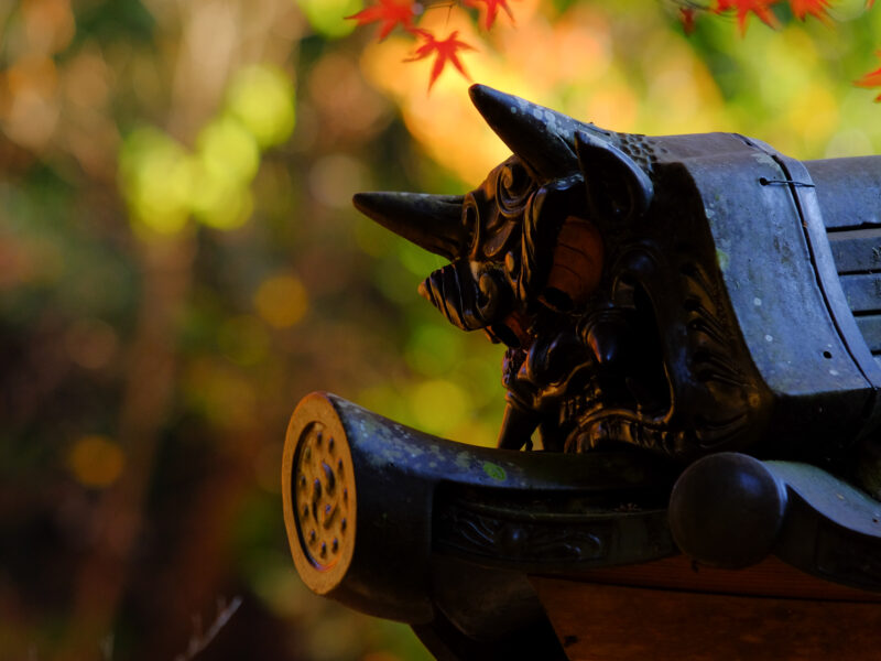 小さな池に美意識溢れて