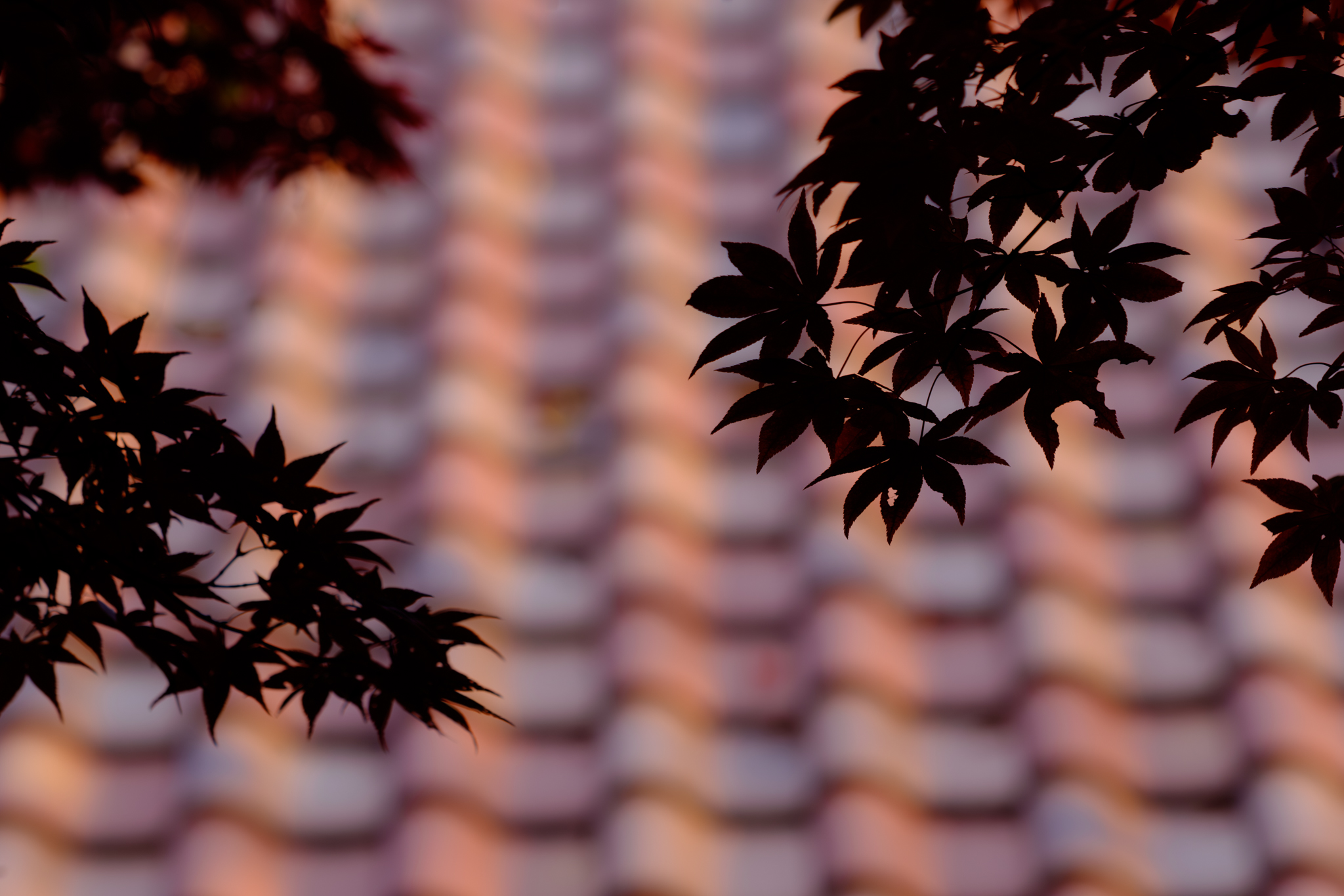 龍王公園は撮れ高満載