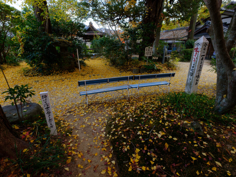 秋の浄瑠璃寺は新しい相棒と
