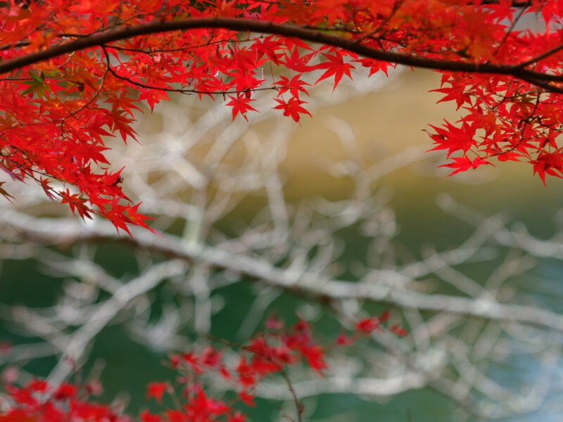 通谷池に行き着いて