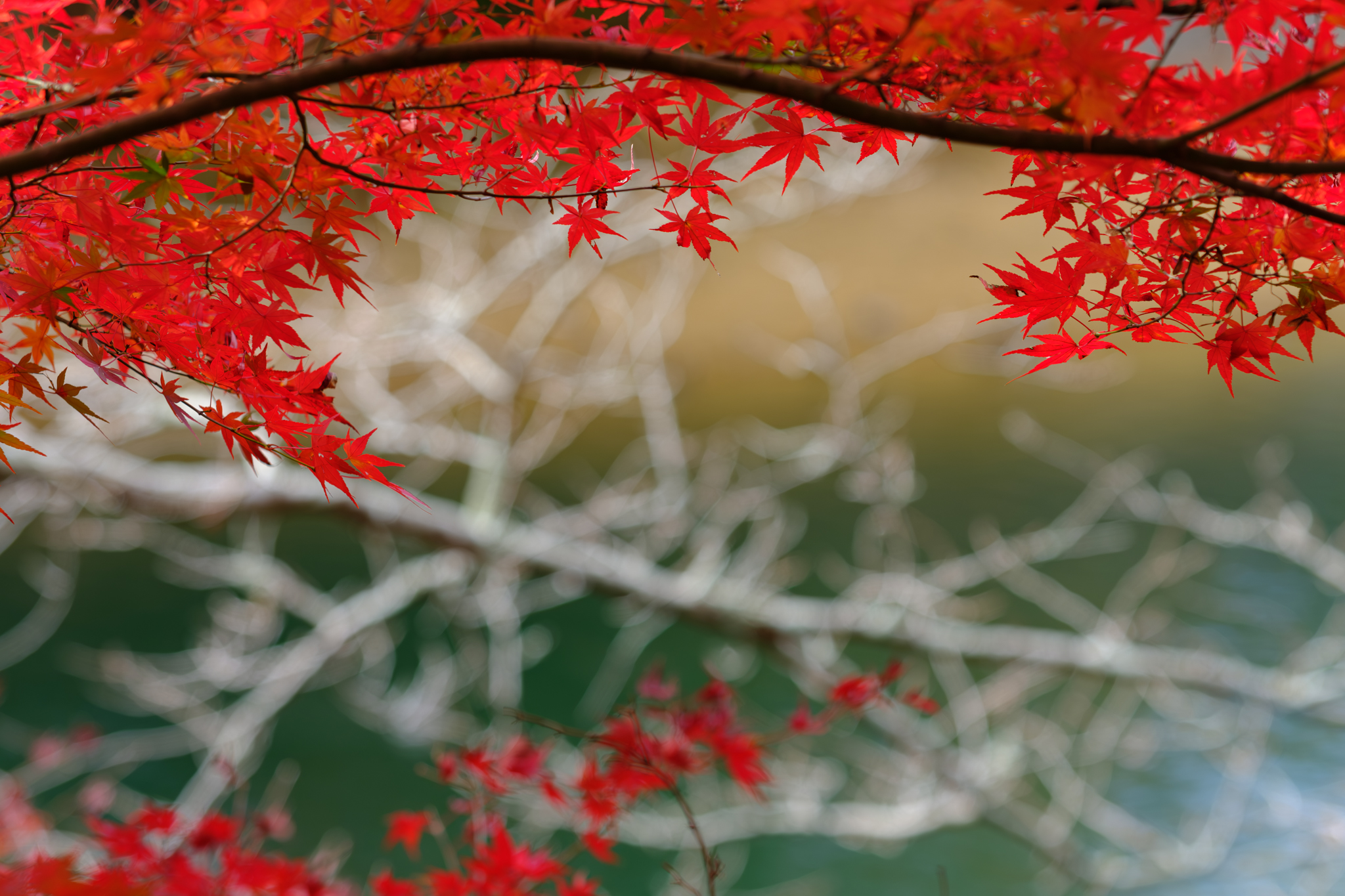 通谷池に行き着いて