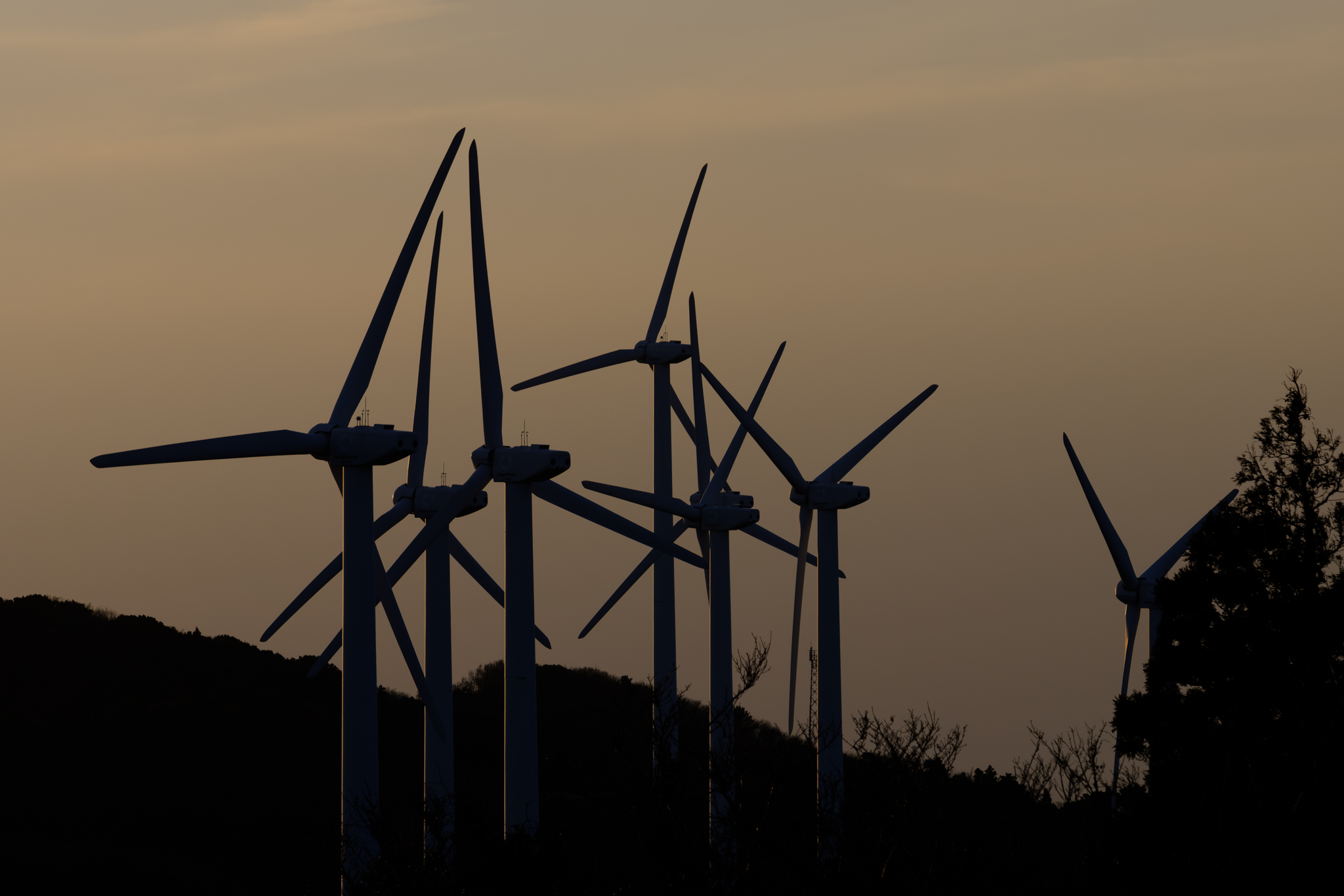 夕暮れに出会うまでドライブの顛末