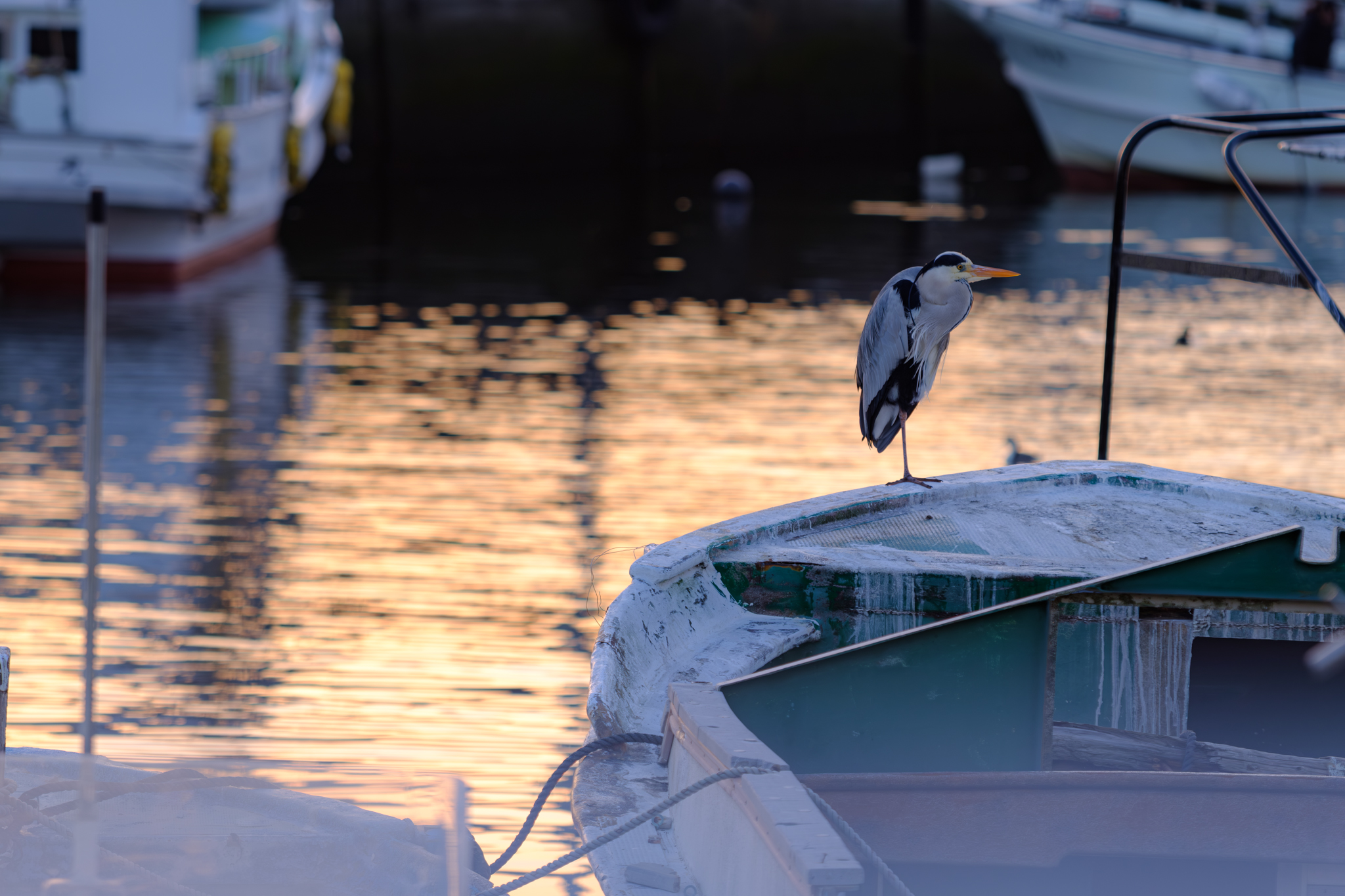 モデル撮影会はお気に入りの港で