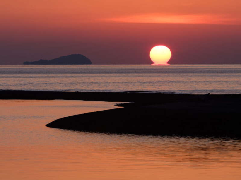 撮り過ぎ厳禁だと言われても