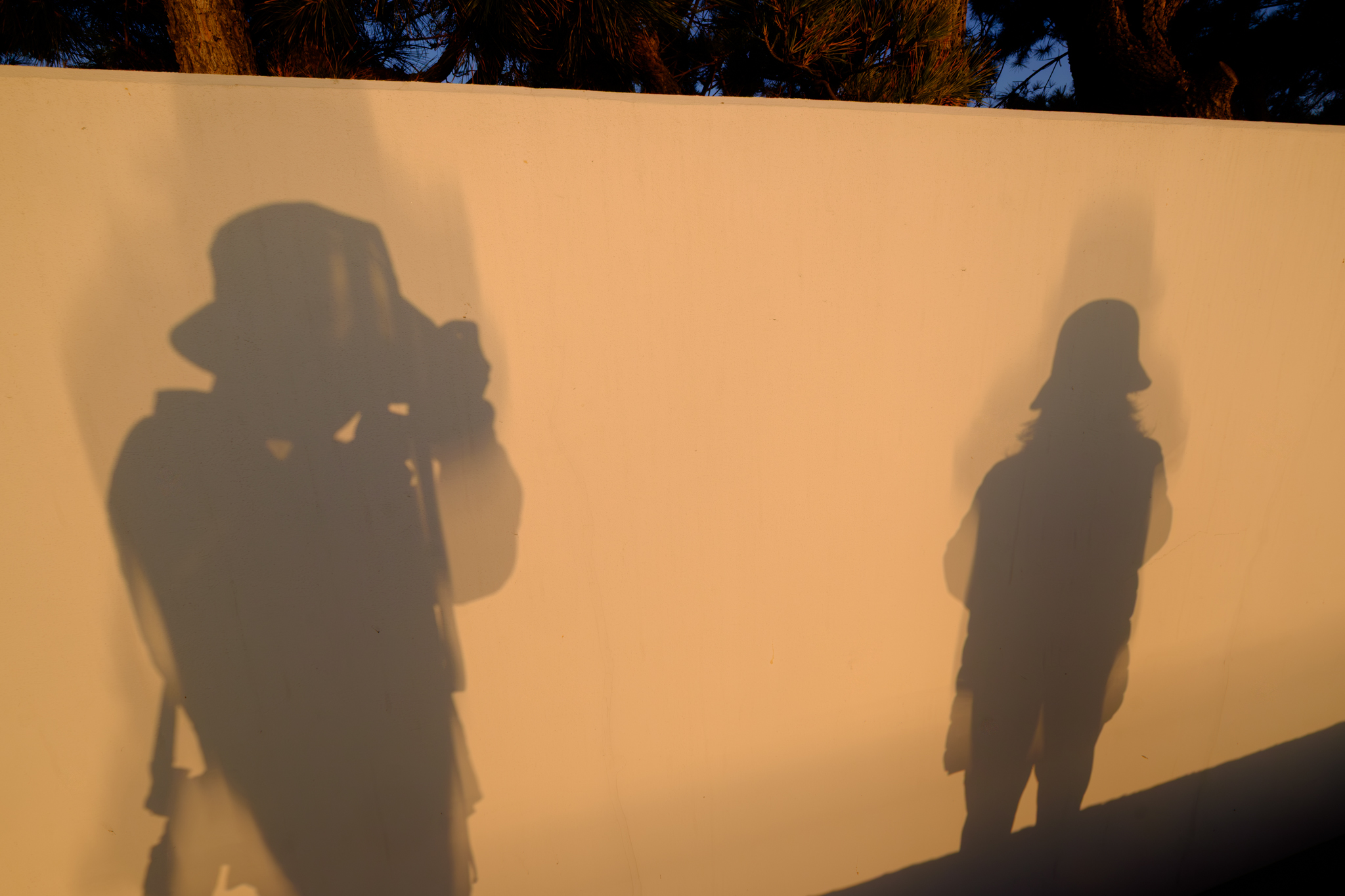 ちょっとそこまで夕日に会いに