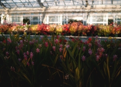 困ったときの花きセンター