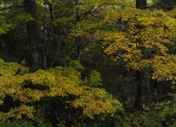 お気に入りの場所