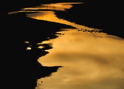 琥珀色に思いを馳せて