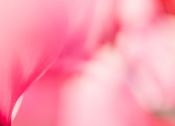 寄りたい気持ち?