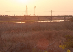 休日の終わりに