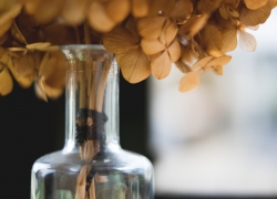 撮りたい気持ち