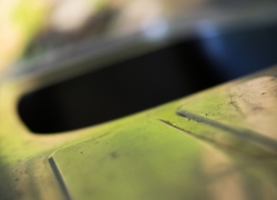 やさしさの黄緑