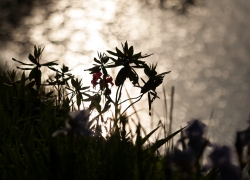 ひかり踊る世界