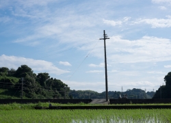 もうすぐ夏休み
