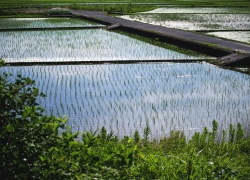 気になっていた風景