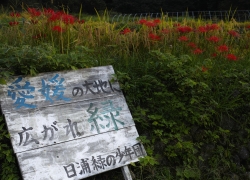 秋の休日は日浦地区を目指せ