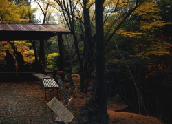 紅葉と音楽と焚き火の匂い