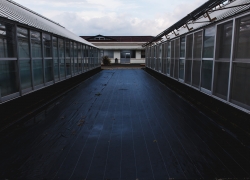 寒い日は温室を目指そう