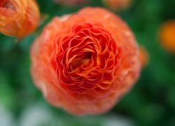 目線を変えてみる素敵