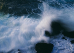 激情のコントラスト