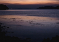 解け合う時間のコケティッシュ