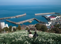 甘い香りに包まれる丘