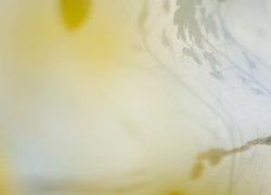 ガードレールのシアワセ