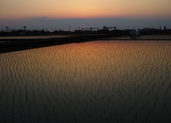 染まってみれば