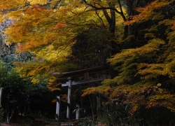 神社と紅葉