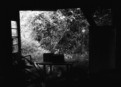 言い訳のモノクローム