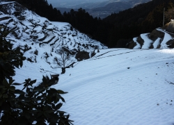 棚田雪景