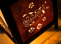 フクロウに想いを馳せて