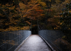 この橋を渡る前に