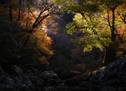 待ち惚けの果てに