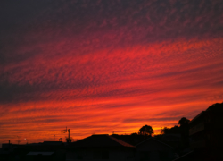 仕舞い込んだ夕空