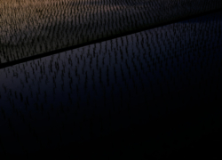 ツートンカラーは帰り際に