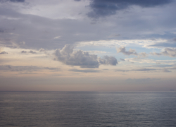 じゃこカツと穏やかな空