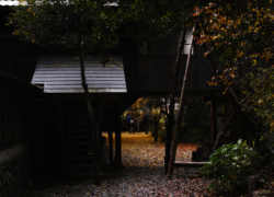 回想：神社裏から見る秋風景