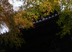 西山興隆寺の僅かな色づき