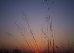 癒やしのグラデーション