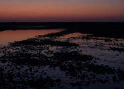 水辺は夕映えて
